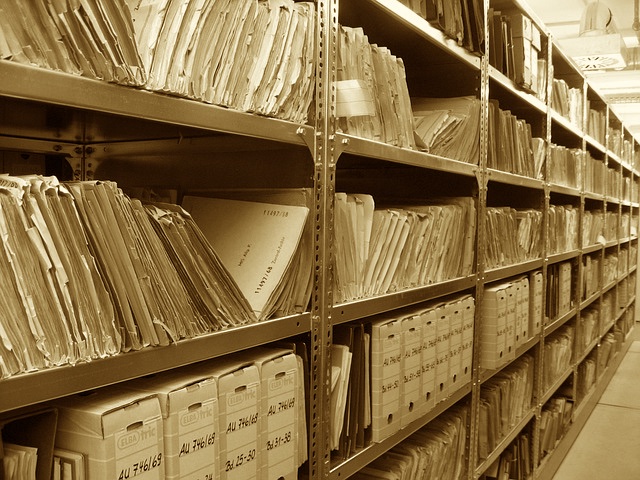 Il Sistema Archivistico Nazionale e i Portali tematici come strumenti di accesso e divulgazione del patrimonio archivistico