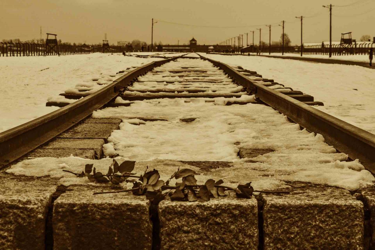 segre-auschwitz-antisemitismo