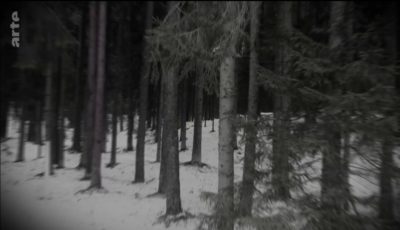 katyn 3