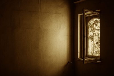 window-1533513-def