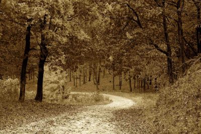 road-1072821_1920-def